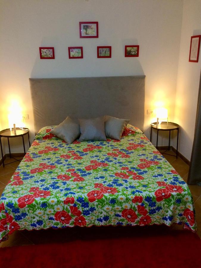 Guesthouse Villa Rosa Berat Esterno foto