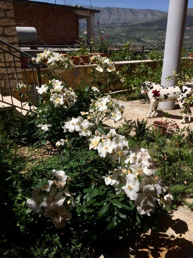Guesthouse Villa Rosa Berat Camera foto